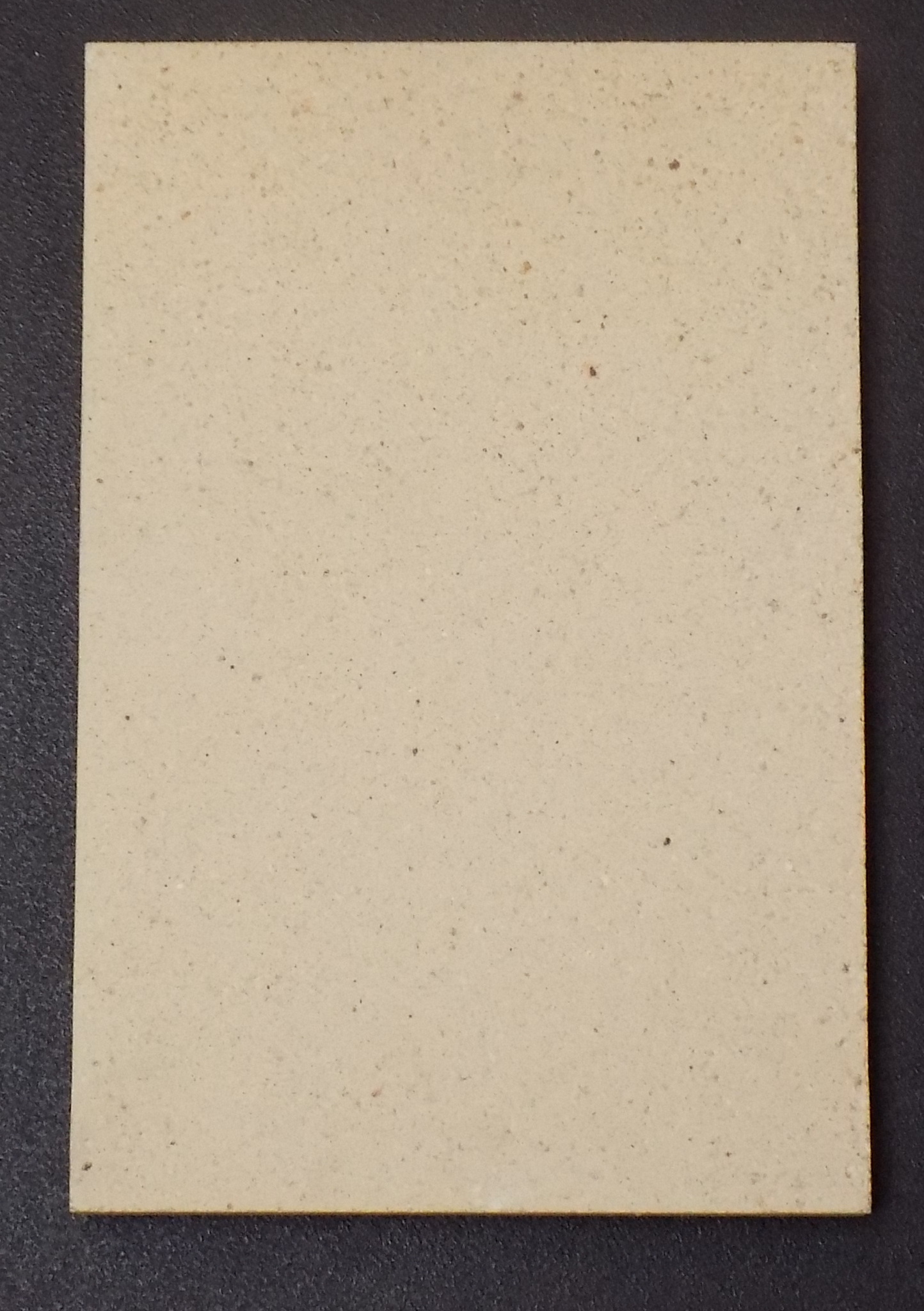 Haas-Sohn Pico 286.12 Achterste muur steen rechts