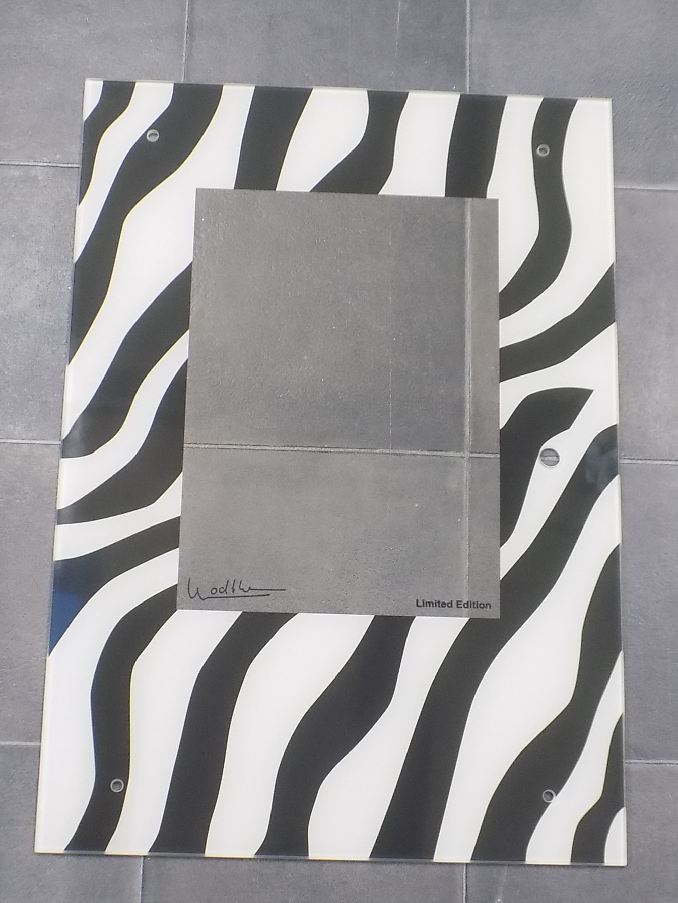 Wodtke Tabo Glasruit Zebra-look