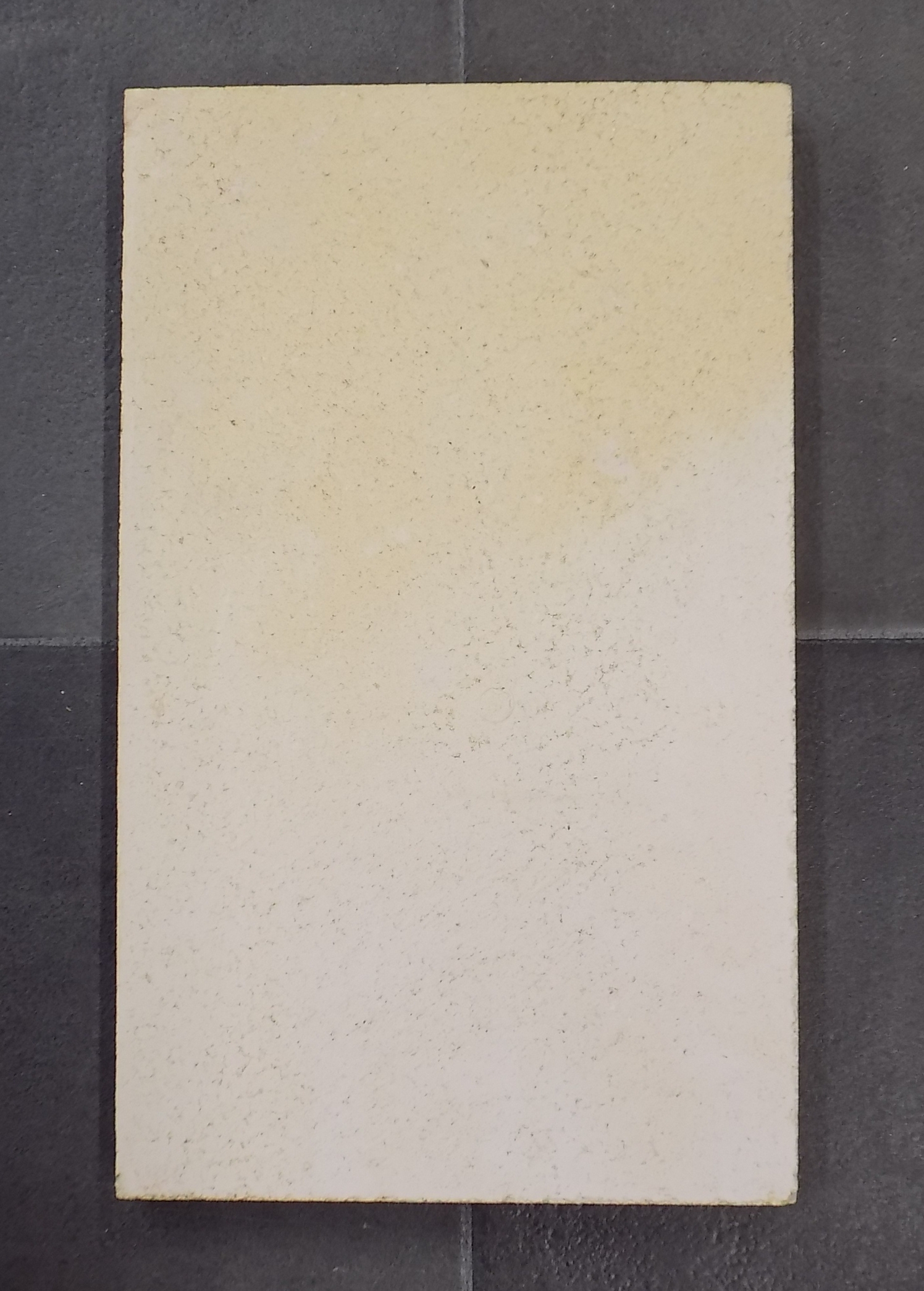 Haas-Sohn RHO 233.17 Achterste muur steen